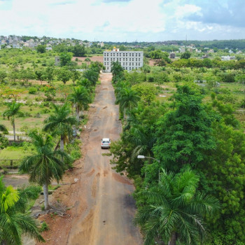 Palm Meadows DJI_0225