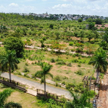 Palm Meadows DJI_0230