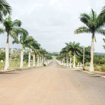 Palm Meadows 𝗣𝗮𝗹𝗺 𝗠𝗲𝗮𝗱𝗼𝘄𝘀