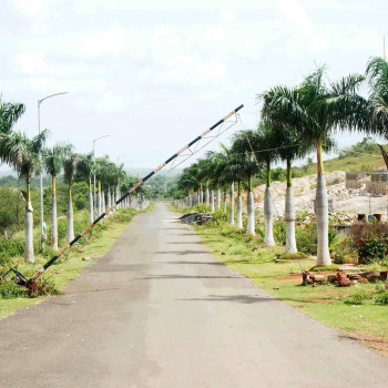 Palm Meadows 𝗣𝗮𝗹𝗺 𝗠𝗲𝗮𝗱𝗼𝘄𝘀