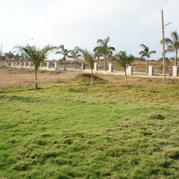 Palm Meadows 𝗣𝗮𝗹𝗺 𝗠𝗲𝗮𝗱𝗼𝘄𝘀